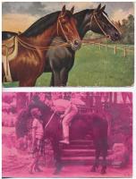 5 db RÉGI motívumlap: lovak / 5 pre-1945 motive postcards: horses