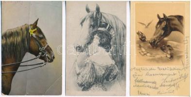 5 db RÉGI motívumlap: lovak / 5 pre-1945 motive postcards: horses