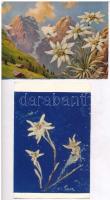 4 db MODERN képeslap havasi gyopárral (3 élővirágos) / 4 modern postcards with edelweiss flower (Leo...