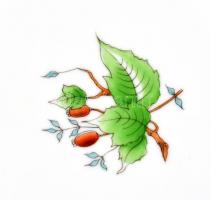 Herendi csipkebogyó mintás készlet tányér (6db), kézzel festett, jelzett, apró koásnyomokkal, d: 18,...