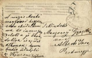 Monte Maggiore (Pizzo San Salvatore), menedékház / mountain peak, chalet. photo (EB)