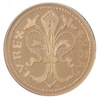 DN "Magyar aranypénzek utánveretben - Károly Róbert aranyforint" aranyozott Ag emlékérem t...