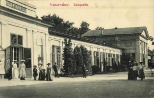 Frantiskovy Lazne, Franzensbad; Salzquelle / salt spa (EK)