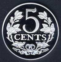 Hollandia 1909. 5c nagyalakú Ag utánverete 31,28g T:PP