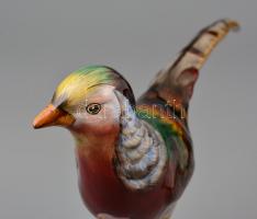 Fácán, kézzel festett kerámia figura, jelzés nélkül, apró lepattanással, 32×16 cm