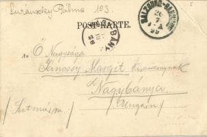 1899 Salzburg, von der Festung. Würthle & Sohn 17. / view from the castle (EB)