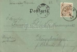 1899 Sankt Gilgen (tear)