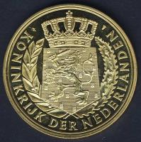 Hollandia DN "Willem van Oranje" aranyozott emlékérem T:1