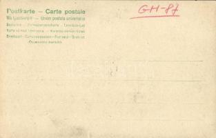 Hollenegg, Schloss Hollenegg / castle. photo (EK)