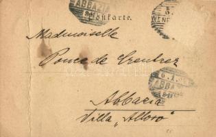 1904 Wiener Neustadt, street view, square, shops, church. Art Nouveau litho clover frame (fa)