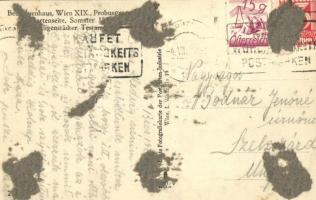 Wien, Vienna, Bécs XIX. Probusgasse, Beethovenhaus, Gartenseite / Beethoven's house, garden (gl...