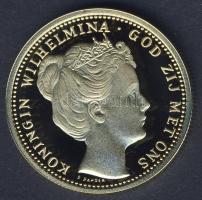 Hollandia 1898. 10G Au aranyozott Ag utánverete 10g T:PP