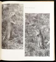 Tildy Zoltán: Természetfényképezés. A korszerű negatív-pozitív eljárásról szóló részt írta: Dobrányi...