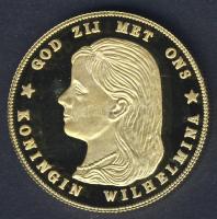 Hollandia 1895. 10G Au aranyozott Ag utánverete 10g T:PP