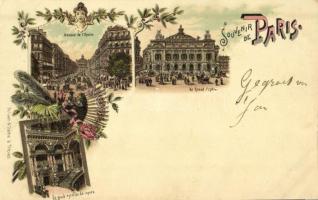 Paris, Avenue de lOpera, Le grand lopera, Le grand escalier de lopera / avenue, opera house, stairs, Art Nouveau, floral