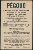 1913 Pégoud repülős Budapesten. Hirdetmény, plakát, röplap 16x23 cm