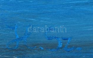 Havasi Szilvia (1982-): Színes vitorlák. Akril, farost, jelzett, 24 x 32 cm