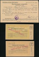 1942-1944 Kiskirályság, Sertésvágási engedély, sertéslap, fizetési meghagyás, stb., 8 db