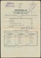 1942-1944 Kiskirályság, Sertésvágási engedély, sertéslap, fizetési meghagyás, stb., 8 db