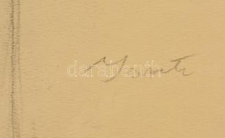 Járitz jelzéssel: Álló aktok ( két oldalas), Szén, papír, 40×57 cm