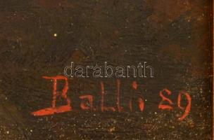 Balló Ede (1859-1936): Nagy Tarpatak. Olaj, fatábla, festék kopással, jelzett, keretben, 24.5×45 cm