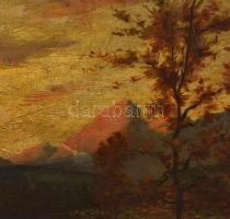 Balló Ede (1859-1936): Nagy Tarpatak. Olaj, fatábla, festék kopással, jelzett, keretben, 24.5×45 cm