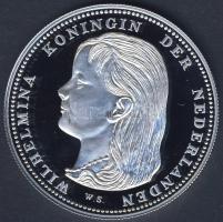 Hollandia 1896. 1G Ag nagyalakú utánverete 31,31g T:PP