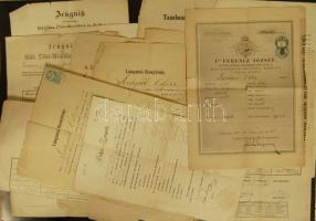 1857-1877 Lechner Ödön építész reáliskolai, műegyetemi bizonyítványai (Stoczek József aláírásokkal), útlevele, egyéb okirata 13 db