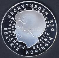 Hollandia 2001. 1G Ag "Gyermekrajz" nagyalakú utánverete 31,32g T:PP