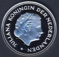 Hollandia 1970. 10G Ag "25. felszabadulási évforduló" nagyalakú utánverete 31,21g T:PP