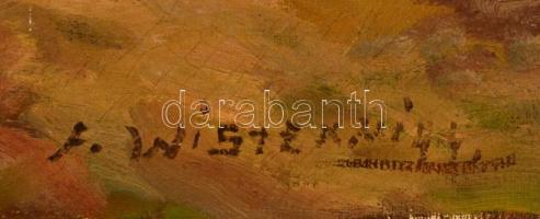 Friedrich Wisternigg (1911-1989): Hegyi táj. Olaj, vászon, jelzett, 60×80 cm