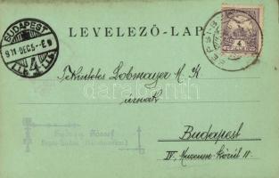 1901 Sepsibodok, Sepsi-Bodok, Bodoc; György József vállalkozó, a sepsibodoki borvízforrás első bérlő...