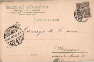 1901 Kágya, Nagy-Kágya, Cadea; Érmelléki Első Szőlőoltvány-telep reklámlapja / grape and vine planta...