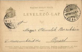 1901 Hirdetményes levelezőlap rajta Országos Központi Fillérszövetkezet, Salvator, Orsz. Esketési Üg...