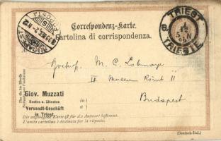 1899 Giov. Muzzati Erstes u. ältestes (1873) Versandt Geschäft Triest / advertisement card of Giovan...