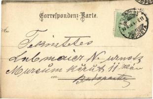 1899 Prosit Neujahr! Gegen das Licht halten / New Year hold to light greeting card, romantic couple,...