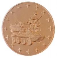 DN "Hódmezővásárhely" aranyozott fém emlékérem eredeti dísztokban (42mm) T:PP