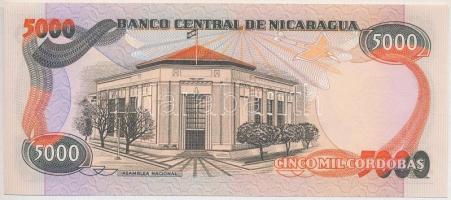 Nicaragua 1985. (1987) 5000C T:I
Nicaragua 1985. (1987) 5000 Cordobas C:UNC
Krause 146