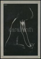 Módos Gábor: Akt-album. A bevezetőt írta és lektorálta: Végvári Lajos. Bp., 1987, Képzőművészeti Kia...