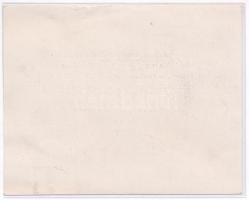 Zsákodi Csiszér János (1883-1953) 1928. "Magyar Anyák Nemzeti Ünnepe" ezüstözött Br emléké...