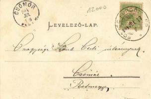 1904 Balatonmáriafürdő, Mária-telep a Balaton partján. Kiadja Mérei Ignác 150. sz. (kis szakadás / s...