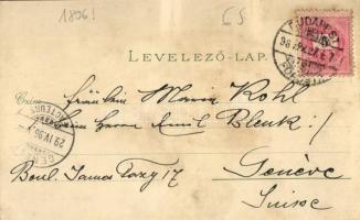 1896 (Vorläufer!) Budapest, Gellérthegy, Margit fürdő, Buda. Ottmar Zieher Art Nouveau, floral, lith...