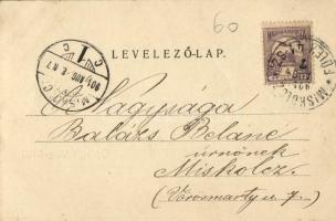 1901 Várgede, Hodejov; Gyógy- és gőzfürdő, kút, vonat a háttérben / spa, well, train in the backgrou...