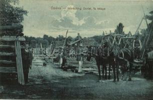 Ópáva, Oppova, Opovo; Werschig Dániel fatelepe és saját kiadása, lovaskocsi / lumber yard and horse cart