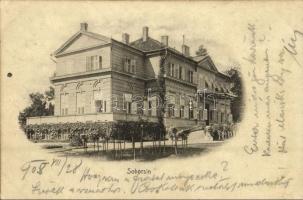 1905 Soborsin, Savarsin; Hunyadi gróf kastély / Castelul Contele Hunyady / castle