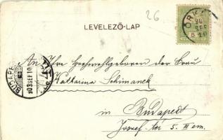 1903 Örkénytábor (Táborfalva), tiszti épületek, K.u.K. katonák és tisztek. Art Nouveau, floral (EB)