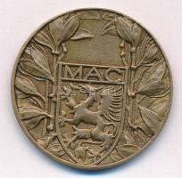 ~1900. "Magyar Athletikai Club 1875" Br érem (37mm) T:2