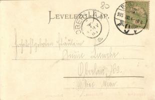 1905 Budapest IX. Vámház körút, Las Torres Gyula porcelán üzlete. Montázs hintóval, urakkal és csend...