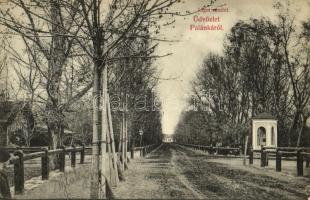 1907 Palánka, Bácska-Palánka, Backa Palanka; Ligeti út. Steimnitz Sándor kiadása / promenade in the park
