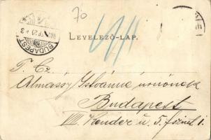 1903 Csíkszereda, Miercurea Ciuc; Helvig G. J. féle csíkszeredai fürdő, alsó park részlete a téli fü...